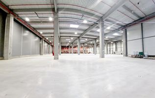 Spatiu industrial flexibil (Depozitare/Productie) - Chitila - Nord