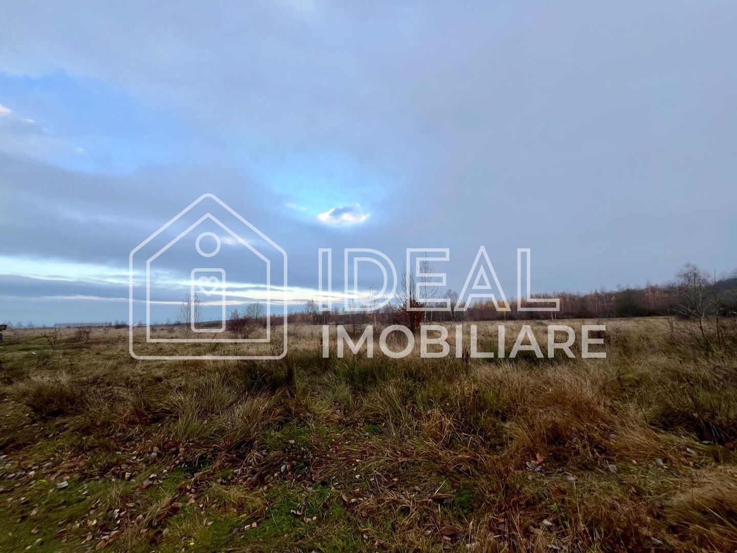 Teren extravilan 6.500 mp – Cârțișoara | Comision 0% - Poză 4