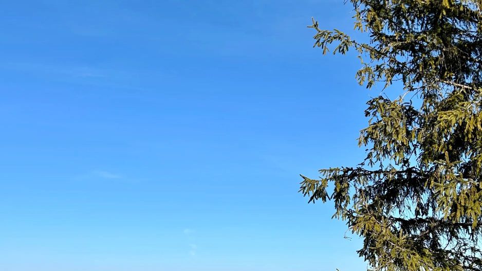 Cabana A-Frame de vânzare | Mărișel – view spectaculos - Poză 12