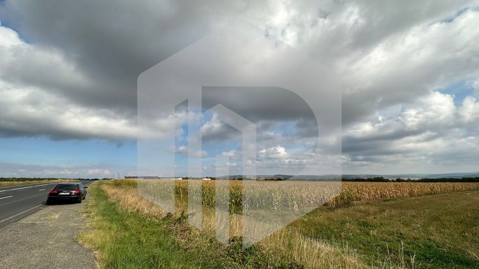 Teren cu deschidere la DN | 10.000 mp | Apoldu de Sus | Intravilan - Poză 5