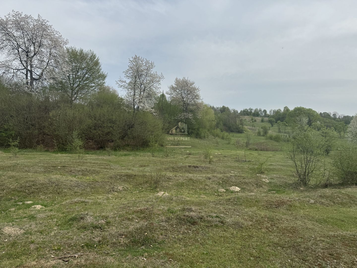 TEREN EXTRAVILAN 40000 MP, ALBESTI DE MUSCEL, CANDESTI - Poză 3