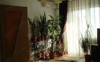 Închiriere 🏡 Apartament 2 camere, 52 mp, decomandat, lângă McDonald’s Dristor - Poză 3