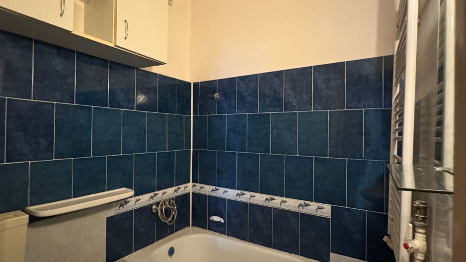 3 camere - Calea Plevenei - Poză 4