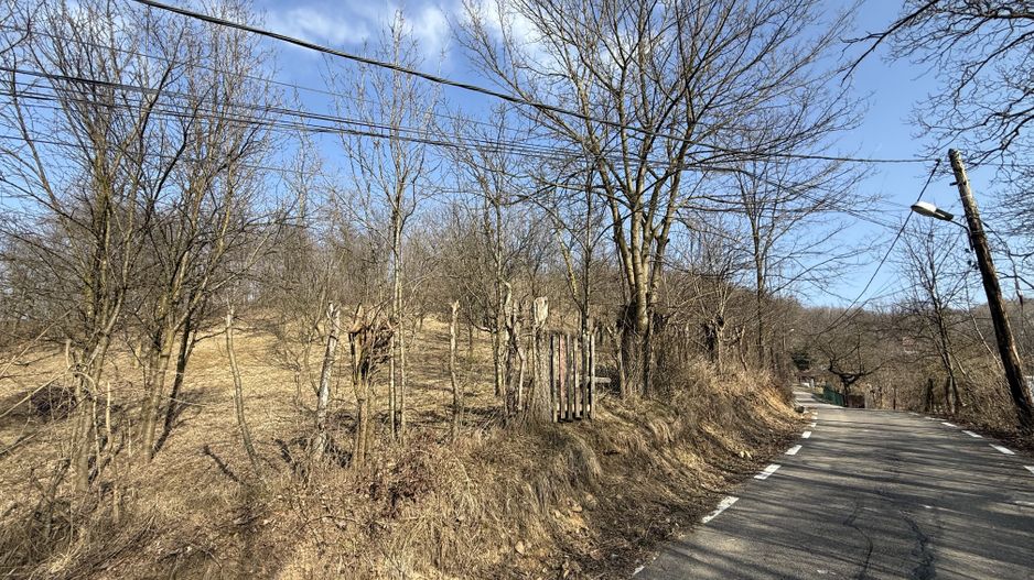 Teren intravilan 2788 mp deschidere 55 ml cu vedere panoramica ! - Poză 13