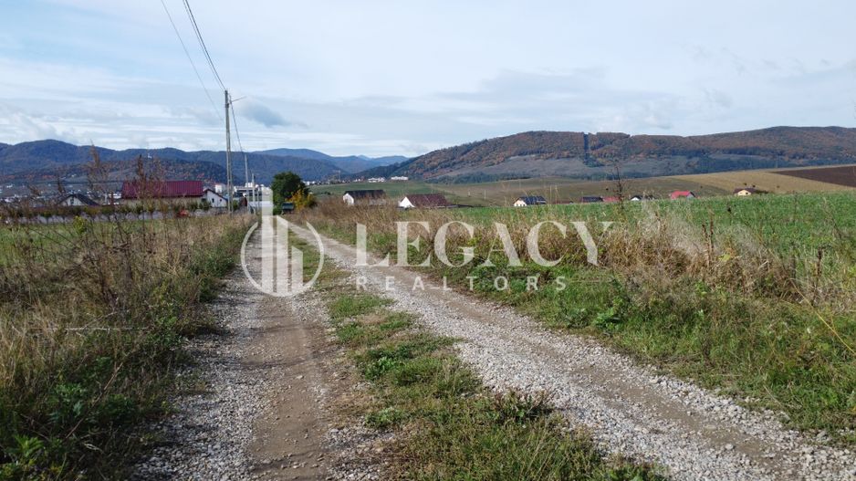 Teren intravilan 10.000 mp Gârcina lângă Sala Polivalenta Piatra Neamț - Poză 3