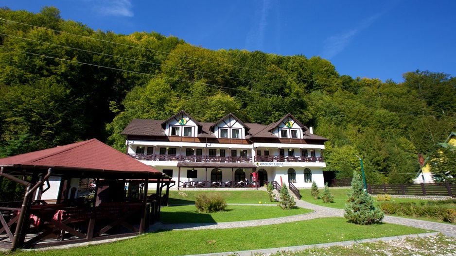 Pensiune de Vânzare în Brădetu – Acces la Apă Sulfuroasă, Vedere rau si munte - Poză 1