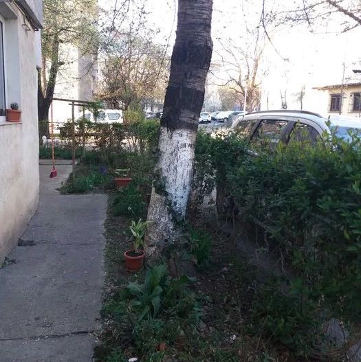 Apartament 3 dec SID,parter - Poză 2