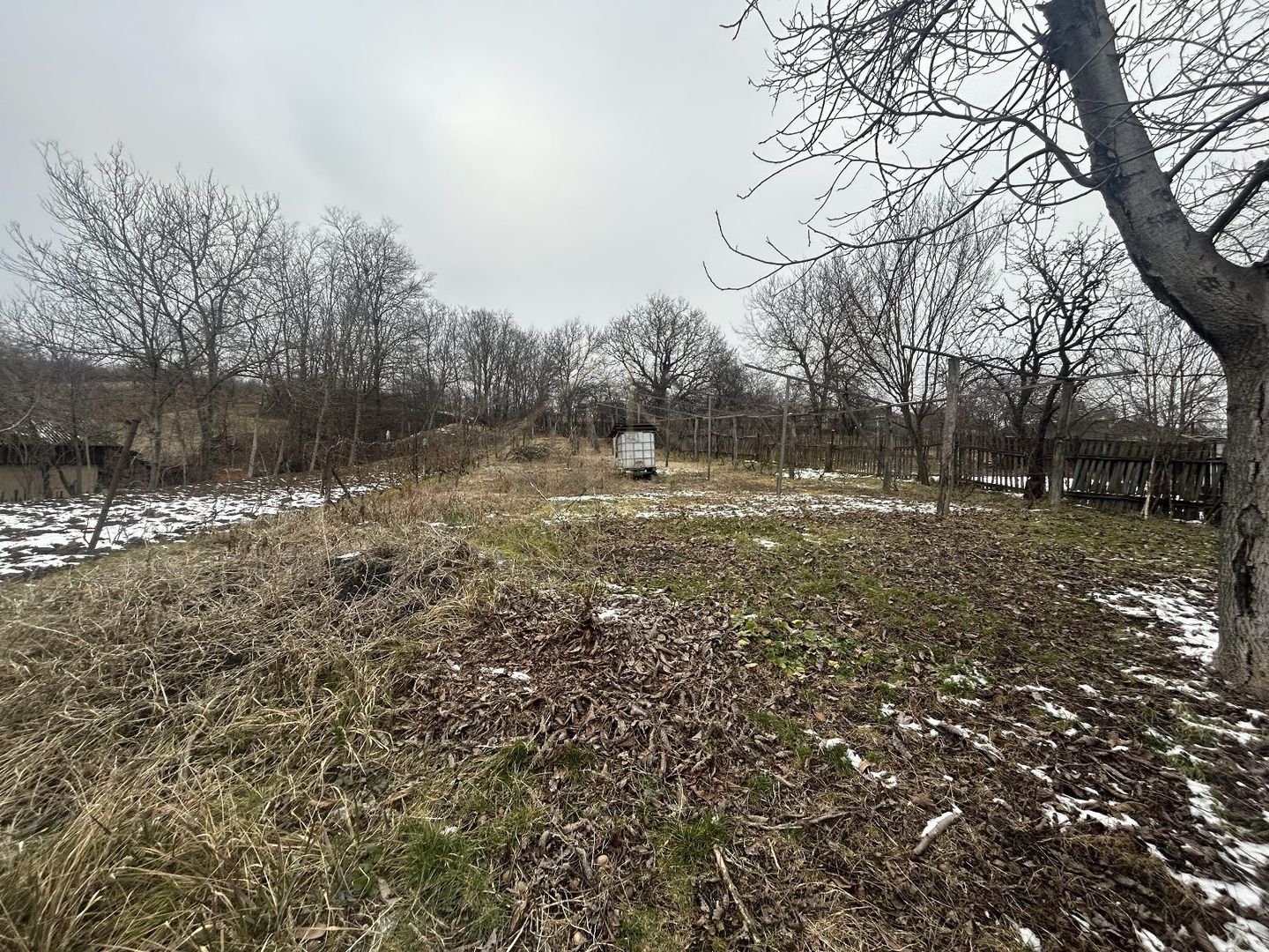 Casă bătrânească în Comuna Brătila - Poză 4