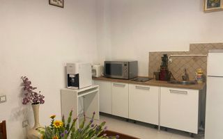 Vila S+P+2, cu suprafata utila 350 mp, Calea Grivitei - Poză 7