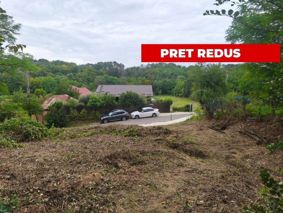 Teren 2552 mp, panorama superba Mosoaia Hintesti -Strada  Basangesti - Poză 1