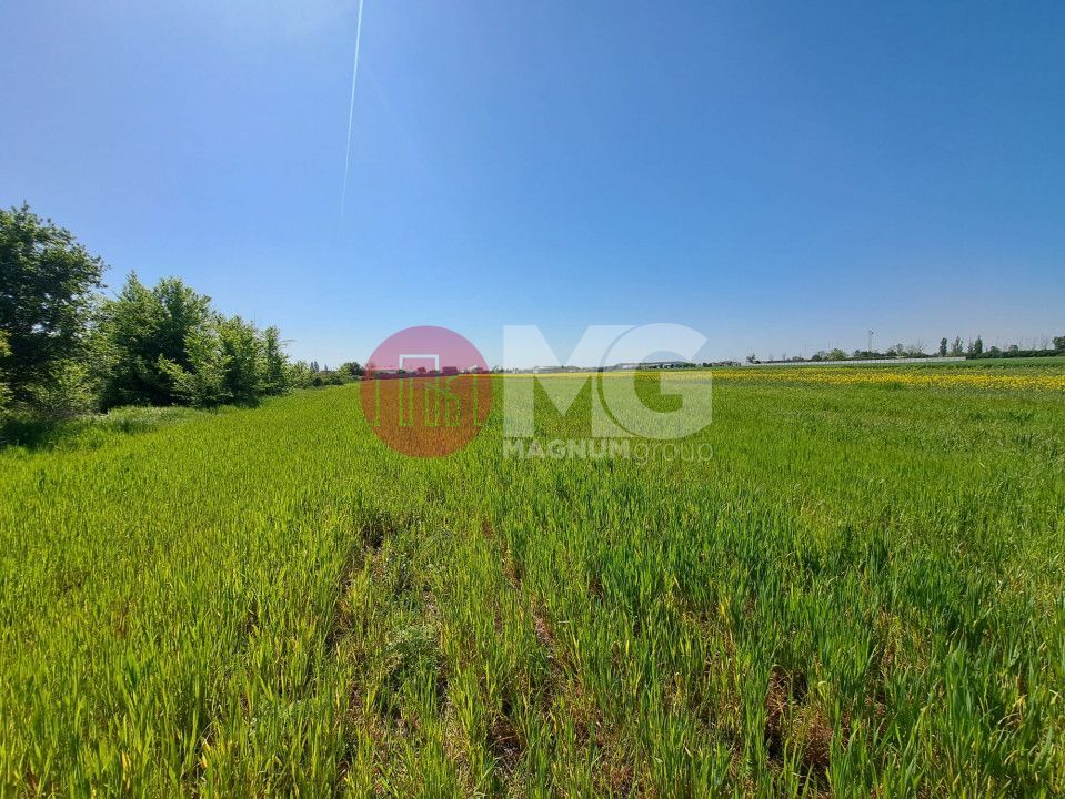 Teren de vanzare in Magurele Ifov Centura Bucuresti - Poză 2