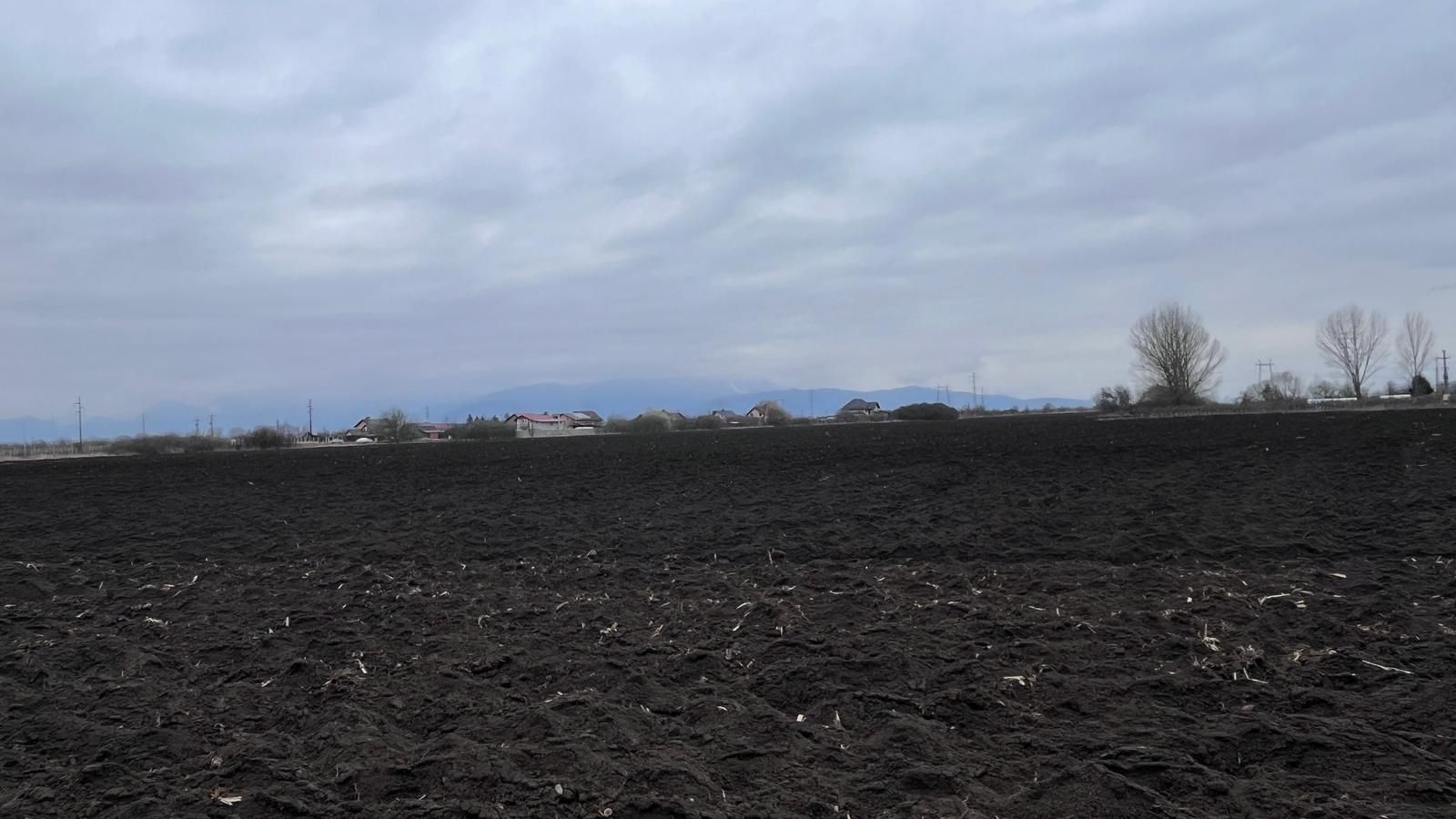 Teren 50000mp Extravilan-Intrare Halchiu-Cod 5235 - Poză 7