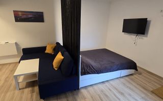 Studio modern de închiriat în Solid Butoaie – vedere la lac, parcare - Poză 3