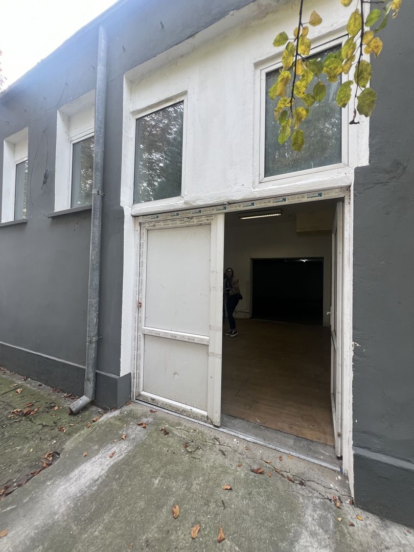 Spatiu depozitare/productie - Poză 1