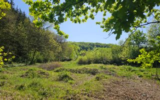 Teren intravilan | langa padure si parau | Luncani/Bacau - Poză 6