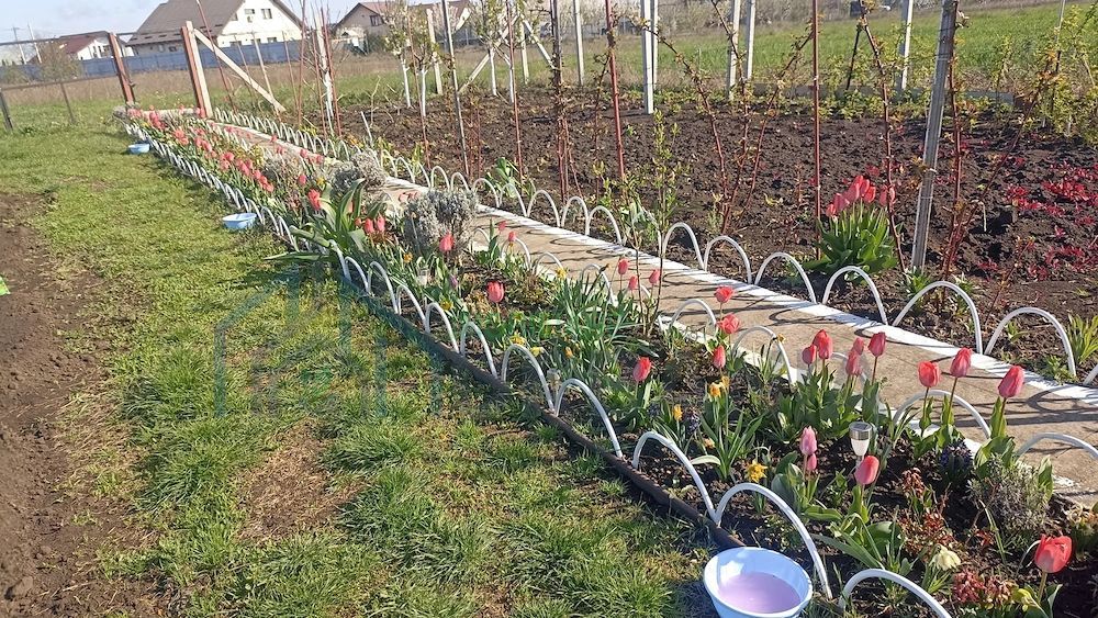 Teren Intravilan 470 mp   Horlești, Comuna Rediu (Proprietar) - Poză 9
