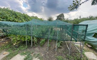 Casa | 9 camere | Garaj | Piscina | Teren 3.000 mp | Comision 0% - Poză 40