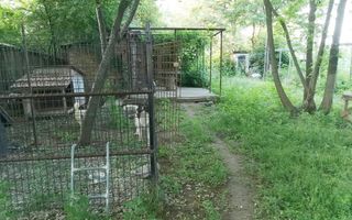Vanzare casa conslidata Silistea Snagovului Comuna Gruiu, Ilfov Snagov - Poză 33