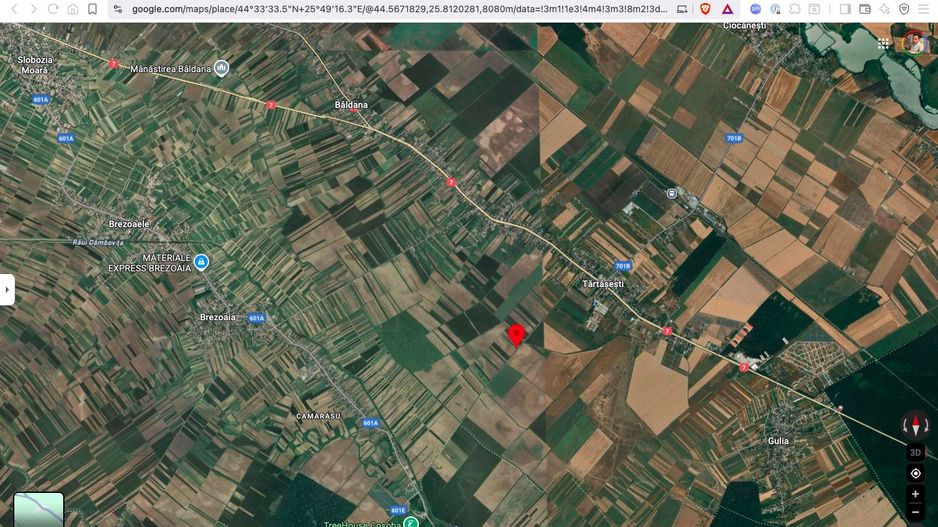 Teren extravilan 10.000 mp Tartasesti Dambovita - Poză 4