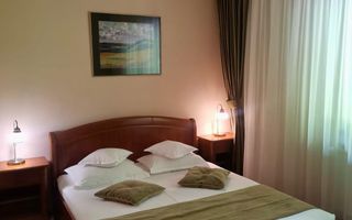 Pensiune Baia Mare - Poză 3