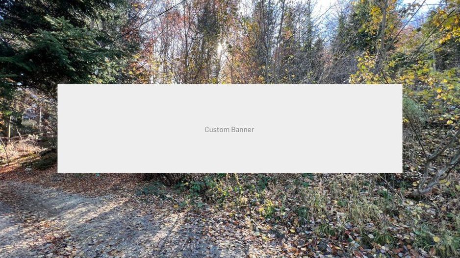 Teren 500 metri - central Sinaia - ideal constructii - Poză 5