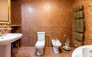 Casa/Vila Premium de vanzare Lacul Snagov / ponton / piscina / barca - Poză 11