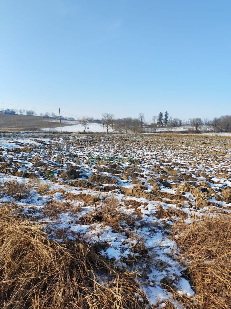 Vand teren intravilan si extravilan. - Poză 3