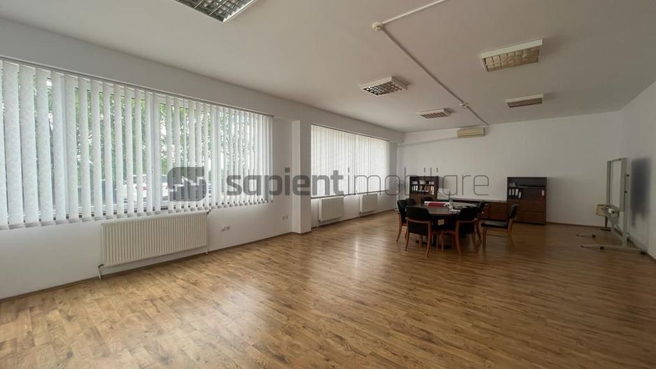 Sapient | Spațiu industrial _ zona Calea Borșului - Poză 10