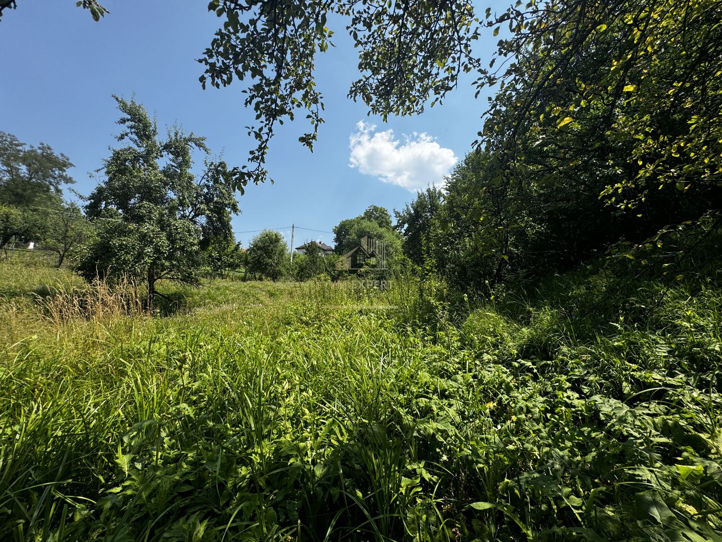 TEREN INTRAVILAN 2146 MP, ALBESTII DE MUSCEL, ARGES - Poză 10