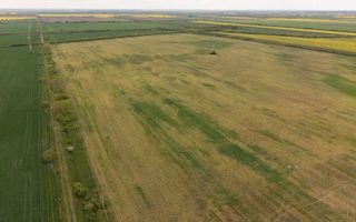 Teren investițional strategic 44.700 mp Arad Vest - Poză 13