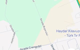 Teren industrial 5000 mp Centura Domnesti - Poză 3