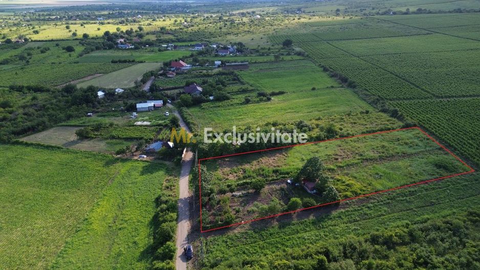 Teren Urlați / Investitie / 5.555 mp pe Traseul MARVIN si Drumul Vinului - Poză 1