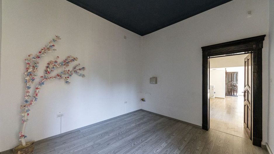 Apartament 196 mp, cu 5 camere, în zona istorică Iosefin - Timisoara - Poză 6