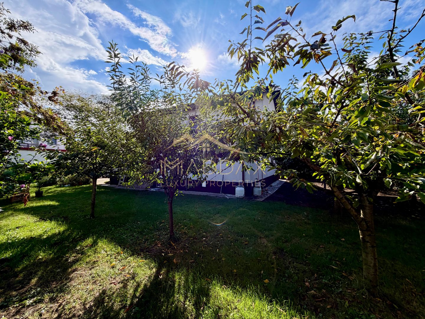 Vila *P+1* // 5 camere // 154 mp utili // teren 700 mp // Corbeanca - Poză 6