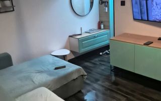 Apartament 2 camere Sagului la parter cu centrala - Poză 2