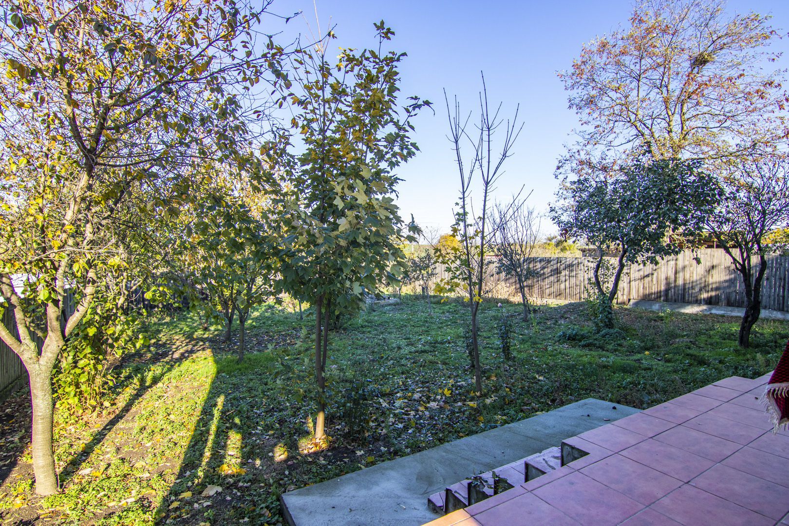 Vila individuala Padurea Branesti / Islaz, 5 camere, teren 1000 mp - Poză 2