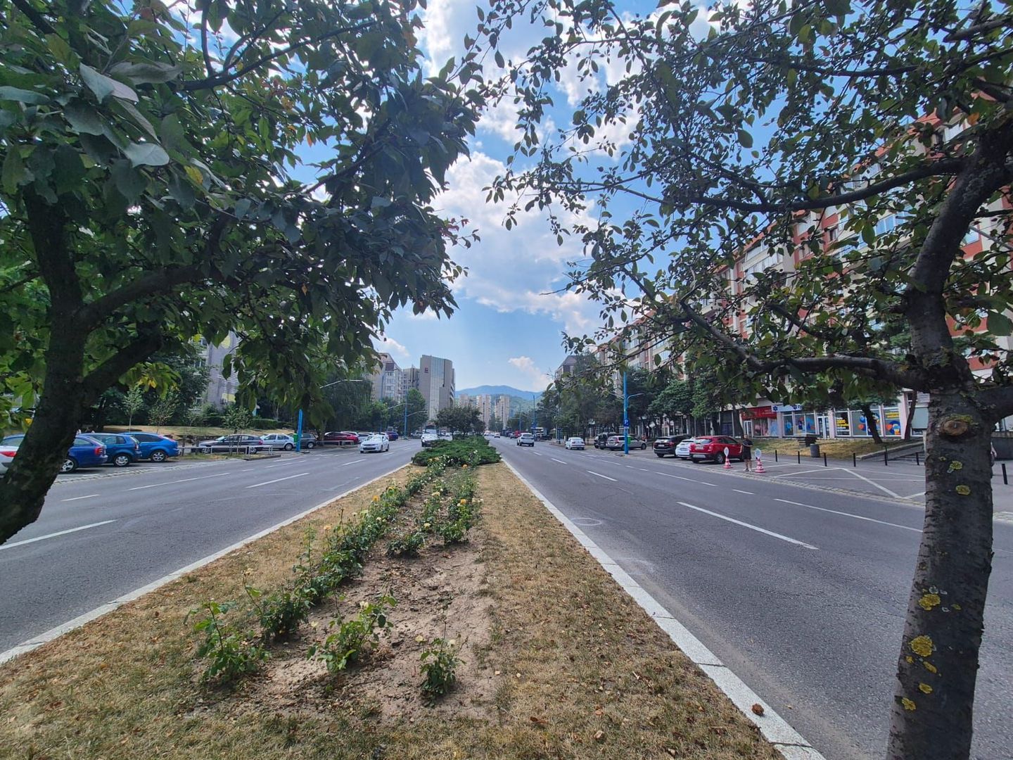 Apartament la 6 minute de gară, piata si Centru Civic, pet friendly - Poză 2