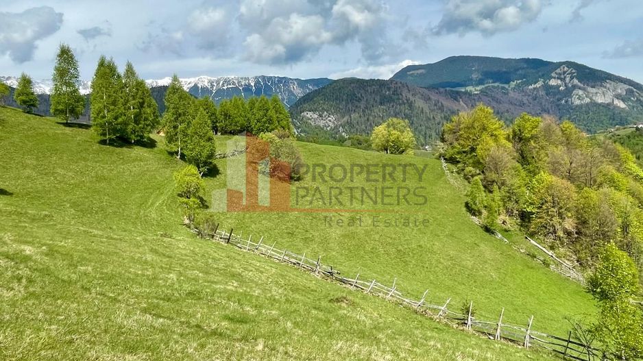 Teren in sat Pestera, comuna Moeciu. - Poză 3