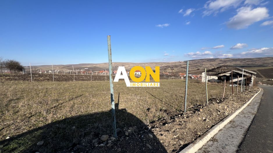 2,314 Mp in Daia Romana, toate utilitatile la asfalt, 80ml deschidere - Poză 3