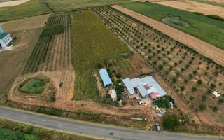 Livadă de 3,6 hectare în Iratoșu – Oportunitate - Poză 2