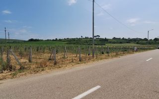 Teren intravilan cu PLANTATIE DE GOJII de vanzare in Racari - Poză 7