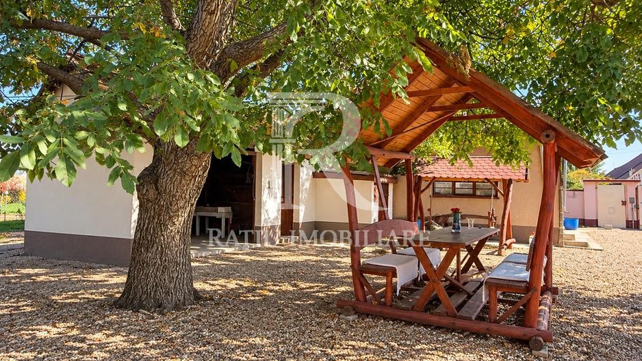 Teren intravilan agricol | 7029 mp | Satu Nou | Bihor - Poză 2