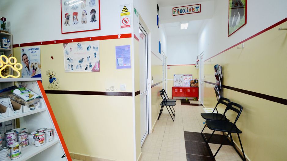 Spatiu Comercial Prelungirea Ghencea | Vizavi Dimri Residence - Poză 3