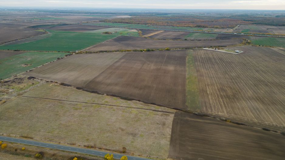 Teren 22.500 mp–Pecica, jud. Arad,Posibilitate PUZ - Poză 5