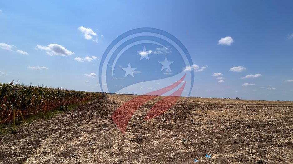 Teren intravilan 5087 mp de vânzare – Pielești - Poză 5