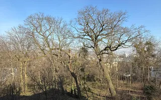 Apartamen  exclusivist, 121 mp utili cu panorama in parcul Hasdeu! - Poză 12