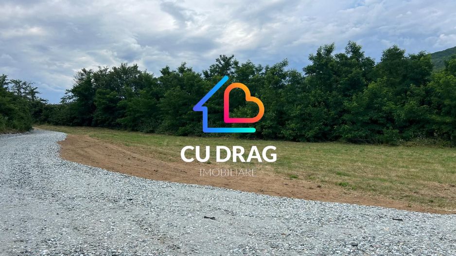 Teren de investitie Talmaciu - Poză 4
