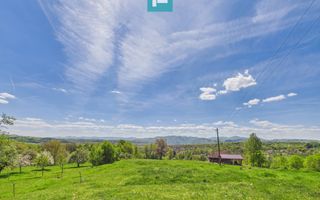 Proprietate rară cu 24.270 mp, în Măgulicea, Arad! - Poză 24