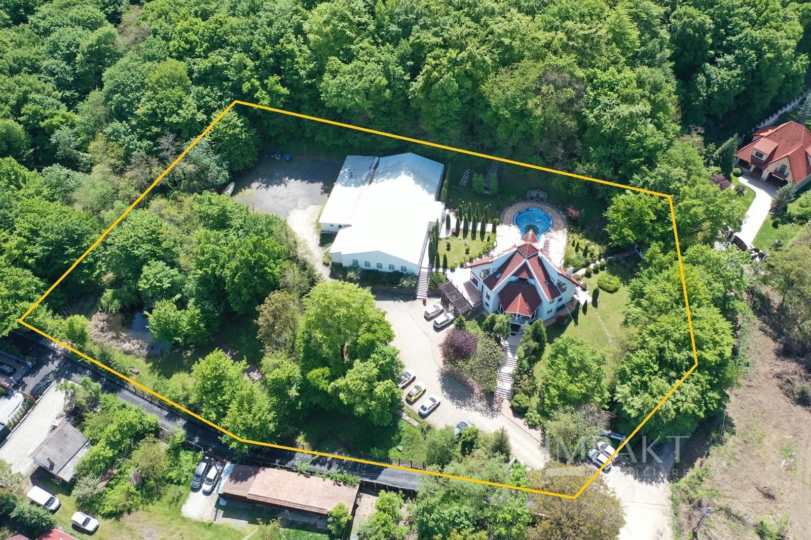 Teren 8.239 m2 Făget cu construcții și potențial ridicat de dezvoltare - Poză 1