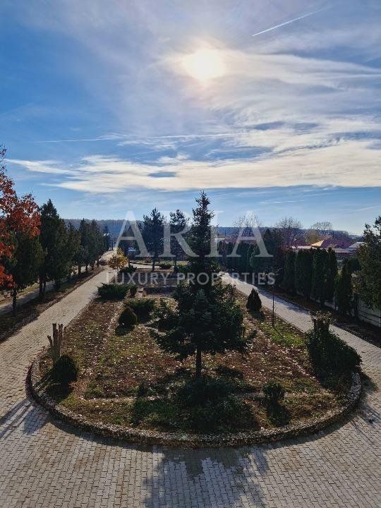 VANZARE VILA | HALA IN VLADICEASCA | SNAGOV | 10.500 MP TEREN - Poză 4